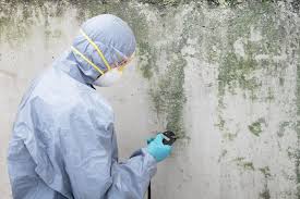 Biohazard Mold Removal